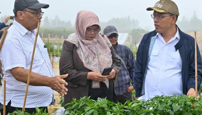 Bupati Humbahas Terima Kunker Kementan RI Di Food Estate