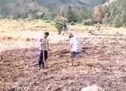 Polres Samosir Tanam Bibit Jagung untuk Dukung Program Ketahanan Pangan