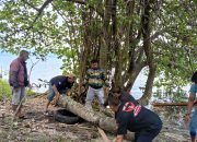 GRIB Jaya Samosir Berikan Bantuan dan Pasang Titi bagi Korban Pengerukan Tanah