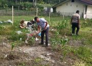Usai Amankan Ibadah Minggu, Polsek Onanrunggu Lanjutkan Penyiangan Tanaman Jagung