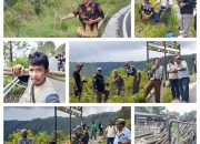 Wartawan di Samosir Tanam Pohon Anti Api di Jalan Tele Sejak tahun 2020 hingga 2022: Teguran Keras untuk Mafia Illegal Logging dan Seruan Kepada Pemerintah