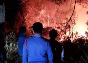 Hutan Paranginan Terbakar, Lahan Kopi dan Jeruk Warga Jadi Korban