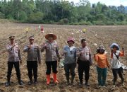 Wujud Nyata Polri Dukung Ketahanan Pangan, Kapolres Humbahas Bagikan Benih Jagung Hibrida kepada Petani