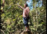 Wartawan Bongkar Dugaan Kerusakan Hutan di Tele, Desak Pemerintah Bertindak