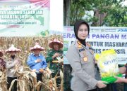 Kapolres Samosir Pimpin Panen Raya Jagung Serentak dan Gelar Pasar Murah
