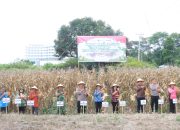 Panen Raya Jagung Serentak Kuartal I 2026, Polres Samosir Dukung Program Ketahanan Pangan Nasional