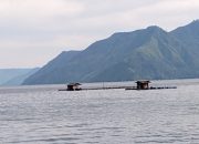 Warga Simbolon Purba Resah atas KJA di Danau Toba, Pengawasan Pemerintah Dipertanyakan