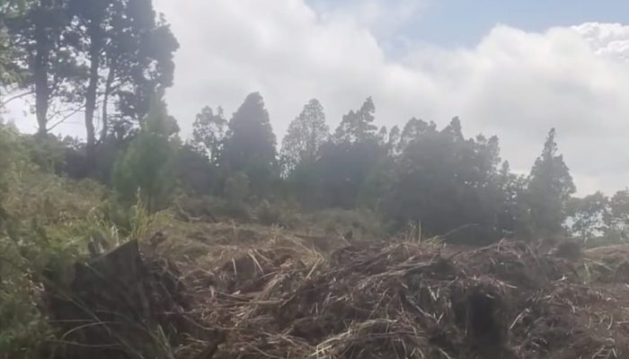 Kawasan Hutan Lindung di Samosir Diduga Dikelola Tanpa Izin, KPH XIII Kirim Surat Penghentian Sementara