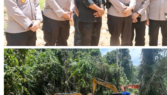 Polda Sumut Bongkar Tambang Emas Ilegal Beromzet Miliaran, 17 Orang dan 14 Ekskavator Diamankan