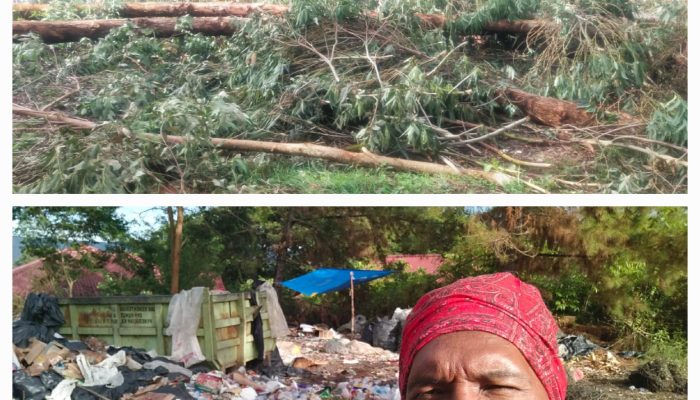 Investigasi Bau Sampah di Kawasan Kantor Parbaba Samosir, Temuan Lapangan dan Penjelasan Regulasi TPS3R