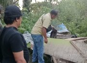 Tanpa Kompromi! Polsek Bosar Maligas Gerebek, Rubuhkan Dan Bakar Habis Lapak Narkoba Di Perladangan Nagori Boluk