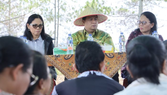 Dorong Ketahanan Pangan, Bupati Samosir Turun Langsung Tanam Bawang Putih Bersama Petani