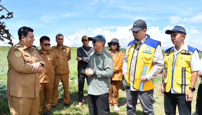 320 Hektare di Atas Kertas, 20 Hektare di Lapangan: Ujian Nyata Ambisi Bawang Putih Samosir