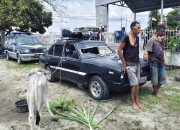 Respons Cepat Laporan 110, Unit Jatanras Polres Simalungun Ringkus Dua Terduga Pencuri Lembu