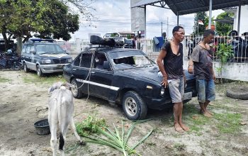 Respons Cepat Laporan 110, Unit Jatanras Polres Simalungun Ringkus Dua Terduga Pencuri Lembu