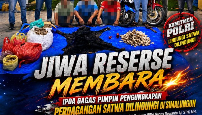 Satwa Dilindungi Bukan untuk Dikuliti, IPDA Gagas Pimpin Pengungkapan Perdagangan Satwa Dilindungi di Simalungun: Jiwa Reserse Membara