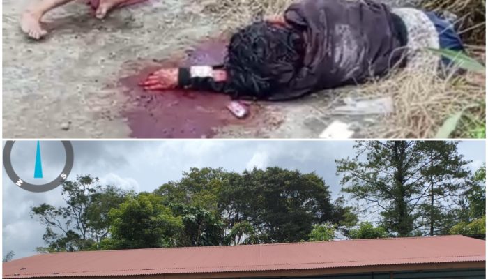 Peristiwa Berdarah di Nagori Sipinggan Simalungun, Diduga karena Cemburu Suami Aniaya Istrinya Hingga Meninggal