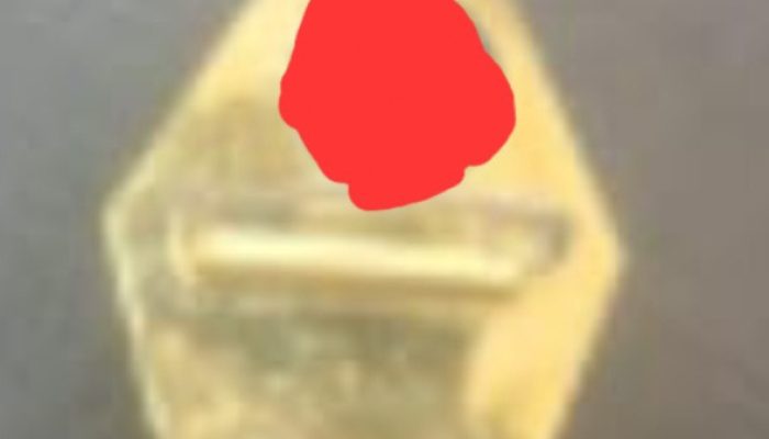 Pin Emas DPRD Samosir Diduga Ditebus, Diganti, hingga Diduplikasi, Muncul Dugaan Upaya Menutupi Penyimpangan