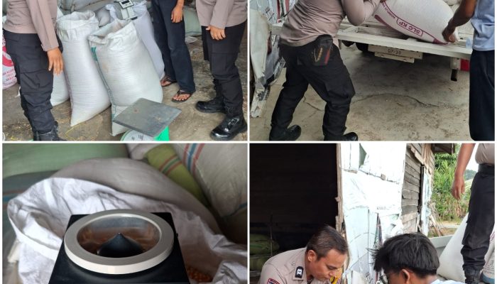 Polsek Siantar Selatan Turun Dampingi Petani Binaan Jual Jagung ke Bulog Cabang Pematangsiantar 
